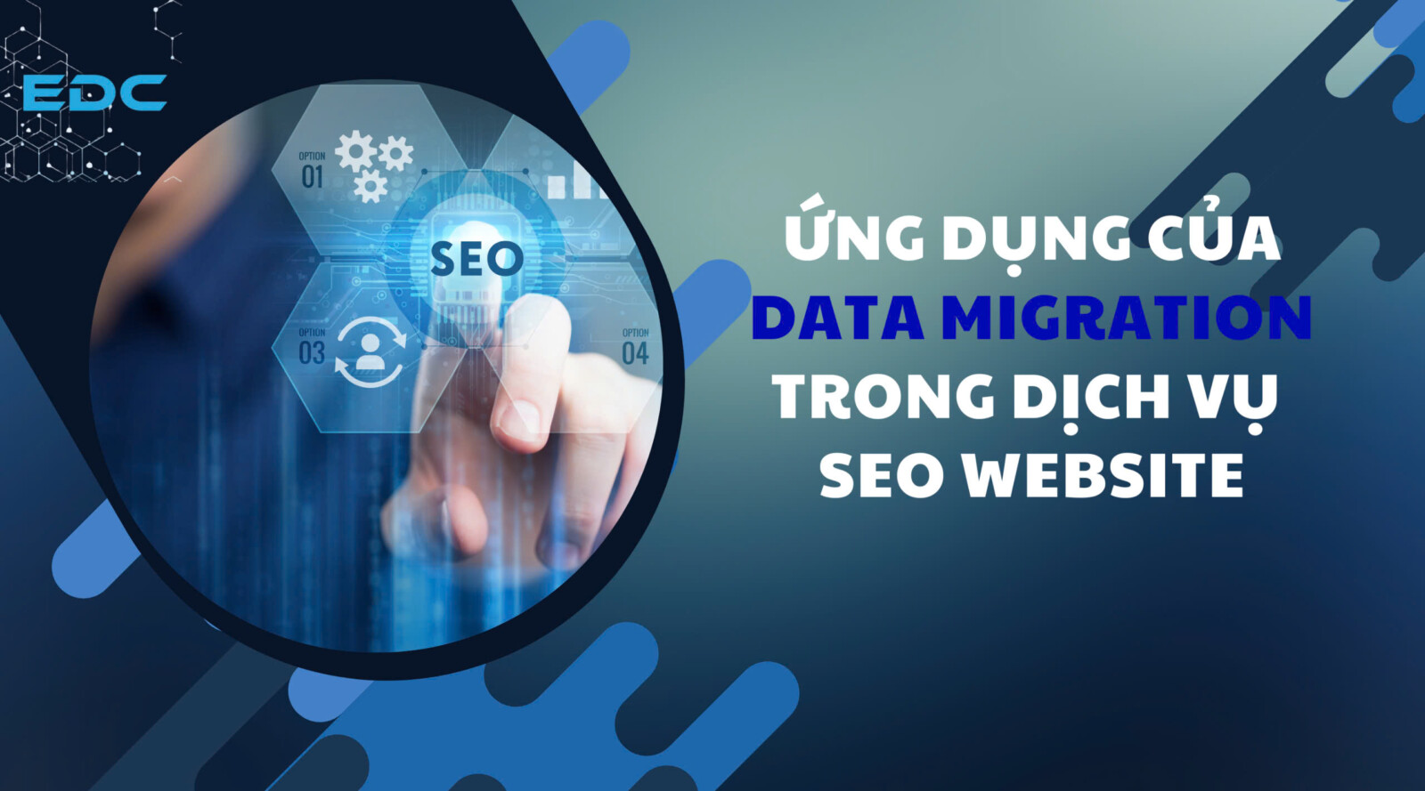 Ứng dụng Data Migration trong dịch vụ SEO